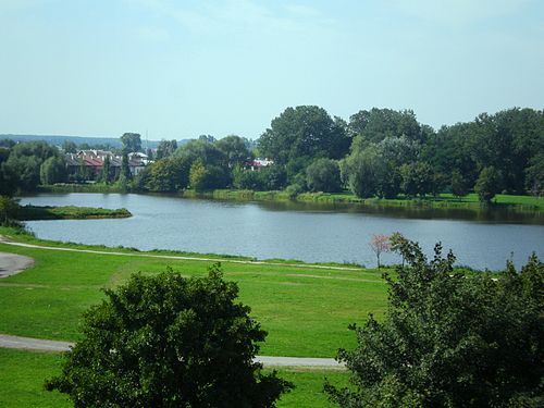 Płońsk